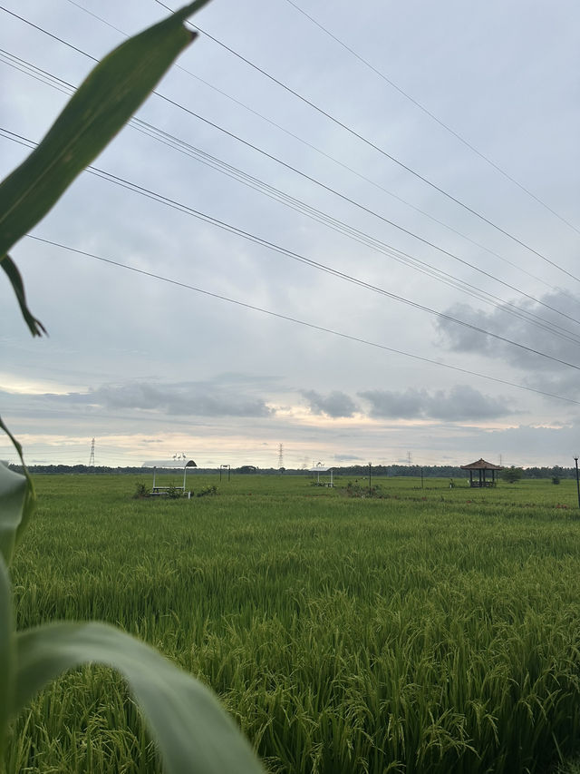 Yogyakarta & Solo: A Journey Through Culture and Nature
