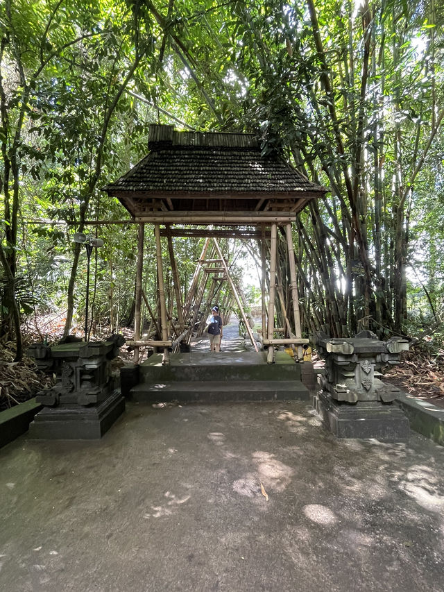 🇮🇩 Penglipuran Village 