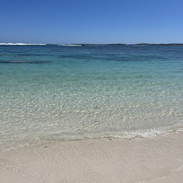 ロットネスアイランド🏝️🇦🇺