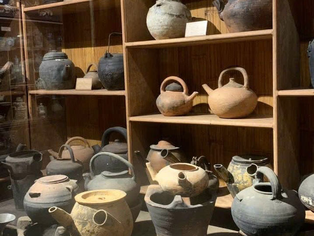 越南古傳醫學博物館 Bảo tàng Y học Cổ truyền Việt Nam