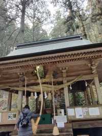 幽靜樹林裡簡樸的上色見熊野座神社