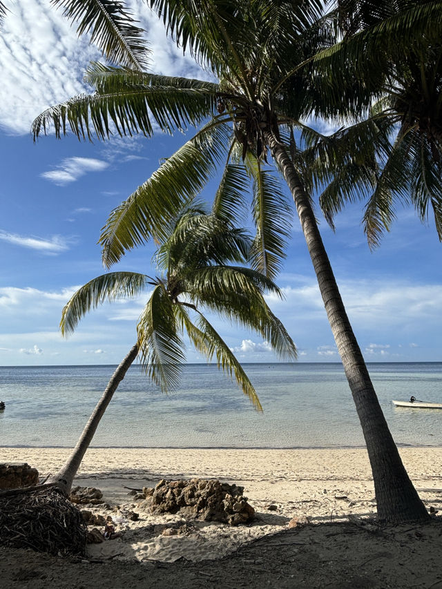 Amazing Beaches to Visit in Sumba Island 🏝️✨