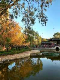 Lingnan Garden