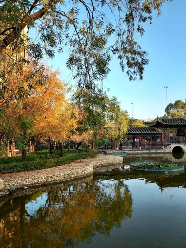 Lingnan Garden
