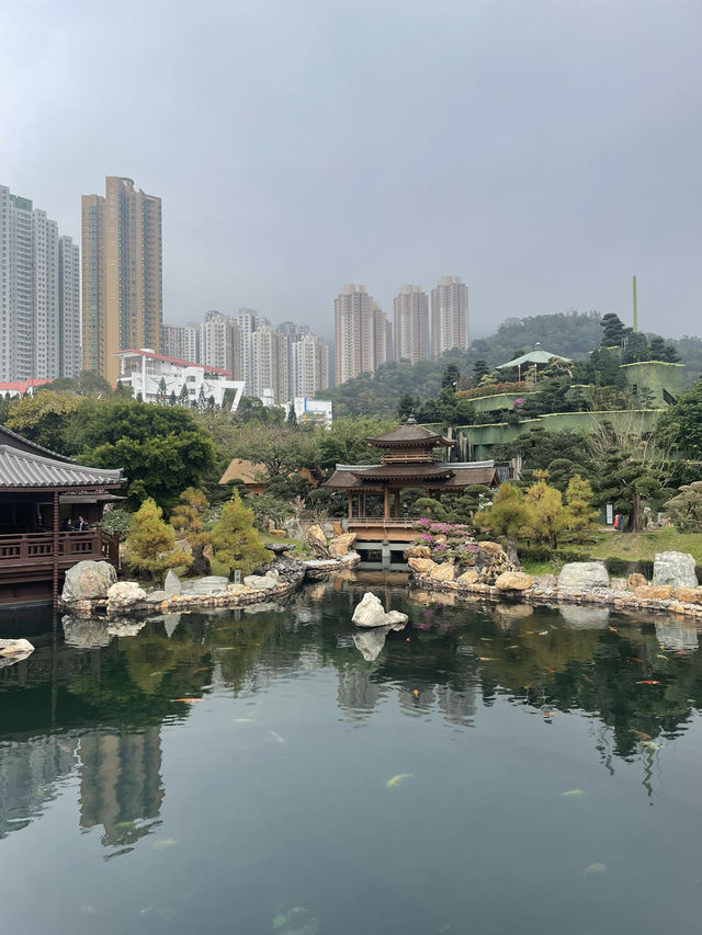 J의 알찬 3박4일 홍콩여행기 