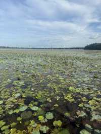 "Siem Reap Uncovered: Temples, Tastes & Nightlife"