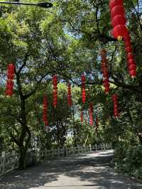 Explore the highest peak of Baiyun Mountain