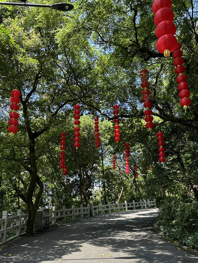 Explore the highest peak of Baiyun Mountain