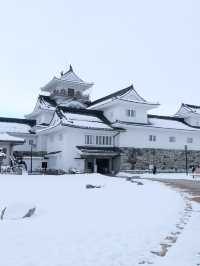 ปราสาทโทยามะ Toyama Castle Ruins