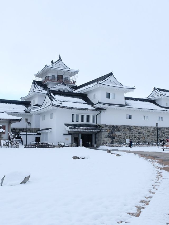 ปราสาทโทยามะ Toyama Castle Ruins