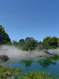 A Tranquil Escape to Ohori Park Japanese Garden