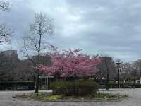 木場公園