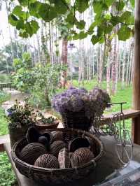  พักกายพักใจ ท่ามกลางธรรมชาติบ้านไร่ไออรุน ระนอง