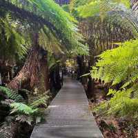 Great Otway National Park