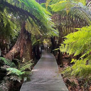 Great Otway National Park