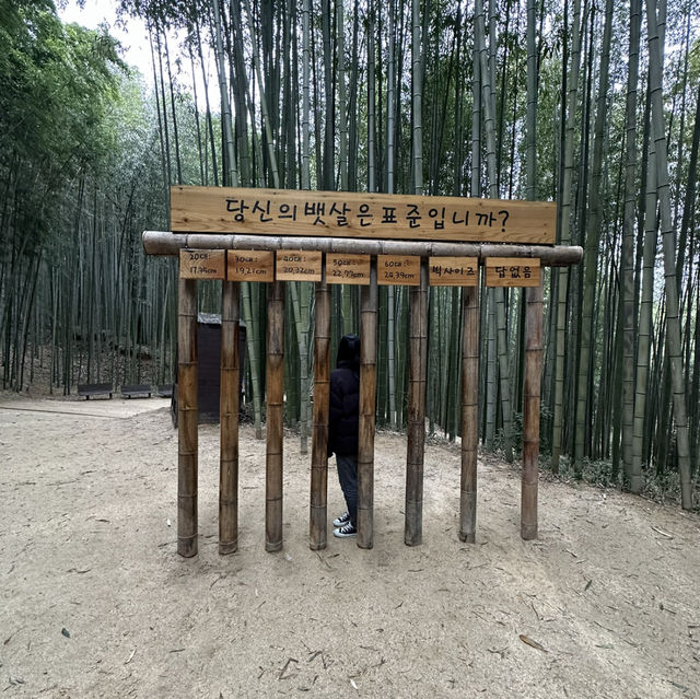【タムヤン】🇰🇷 竹緑苑