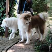 ที่พัก Mori Natural Farm เชียงใหม่