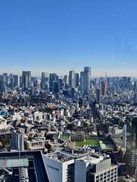 東京高229米的展望台