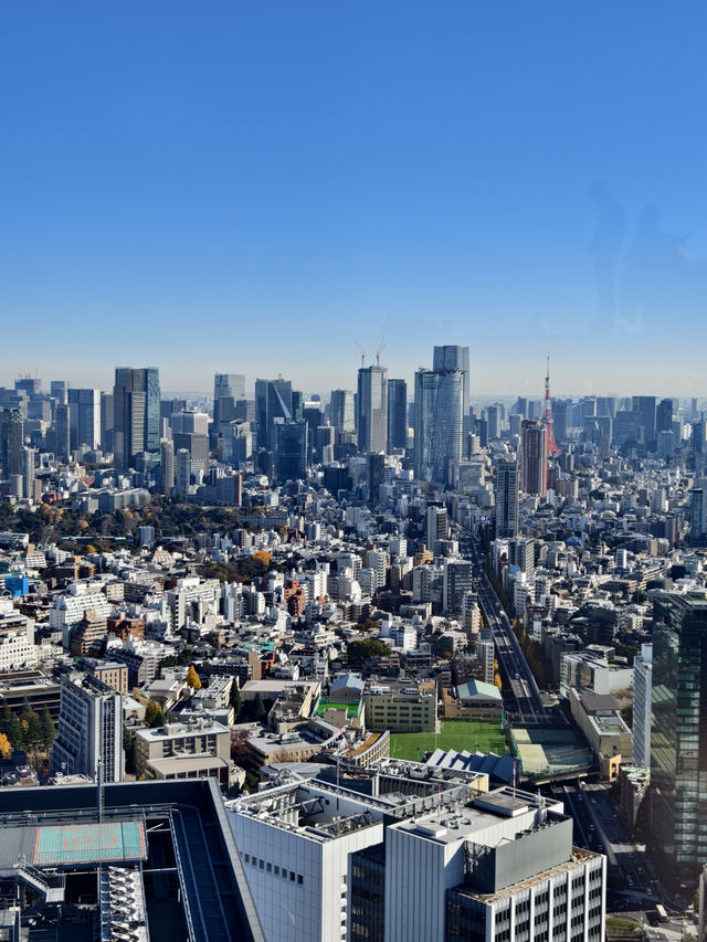 東京高229米的展望台