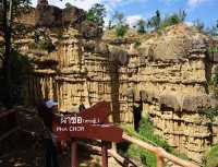 “ผาช่อ” แกรนด์แคนยอนเมืองไทย