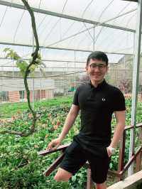“Flutter into Spring: A Colourful Farm”