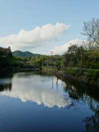 京都嵐山渡月橋—和服👘初體驗