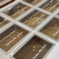 Arabica Thailand • One Nimman, Chiangmai 