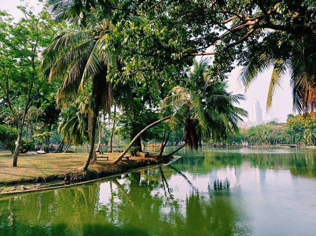 泰國曼谷市中心素坤逸區城市綠洲公園一日遊行程，親子遊行程，素坤逸繁華大道，適合打卡拍照📸親子遊