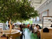 Spring Escape at Oh Ka Ju, Bangkok