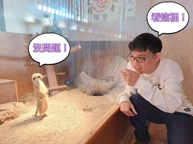 斑比山丘⛰️小鹿斑比的Wonderland🦌