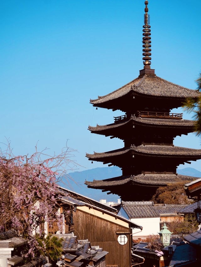 【京都×春旅】  八坂の塔と桜が撮れるスポットは大人気！