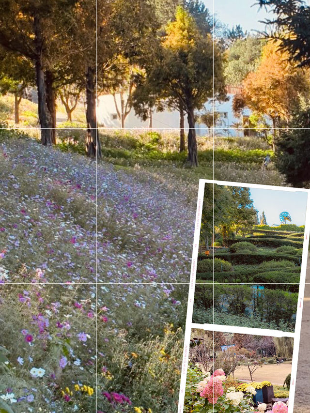 A Springtime Floral Escape 🌷🏞️