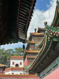 Puning Temple, Chengde – A Hidden Gem Worth Visiting! 🏯✨