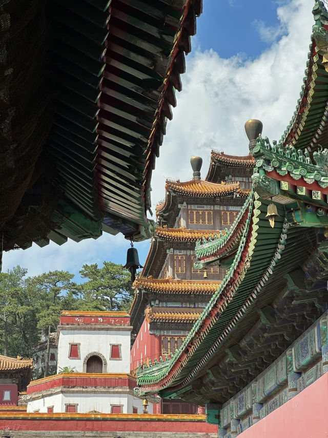 Puning Temple, Chengde – A Hidden Gem Worth Visiting! 🏯✨