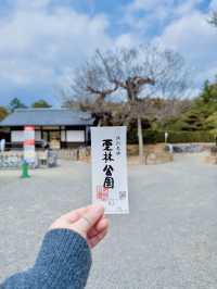 일본 여행 여기는 잊지 못할 것 같아요 🇯🇵