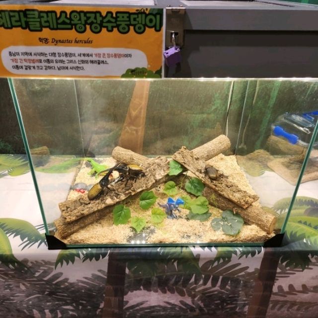 여주 가볼만한 곳 '여주 곤충 박물관'