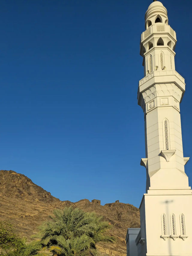The Seven Mosques 