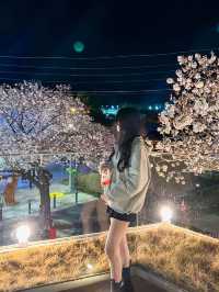 울산 여행 오셨나요? 울산역 도착하자마자 가야할 곳, 여기예요!  