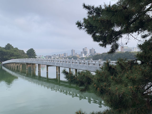 🍃 도심 속에서 만난 가장 고요한 순간, 오호리 공원