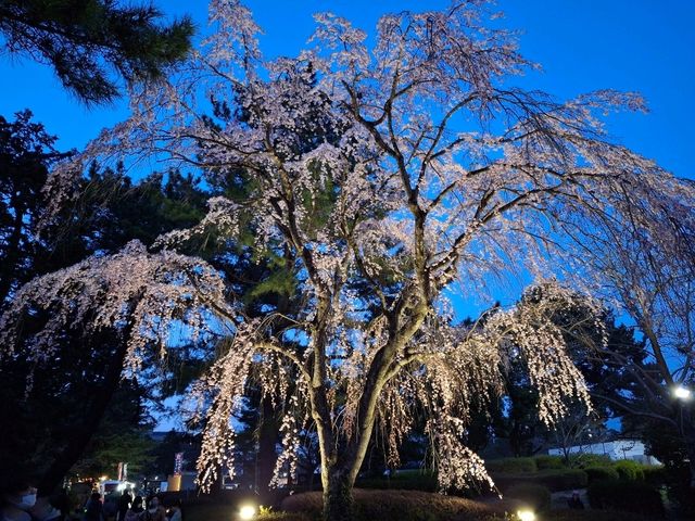仙台榴岡公園