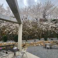 JAKGWA GARDEN