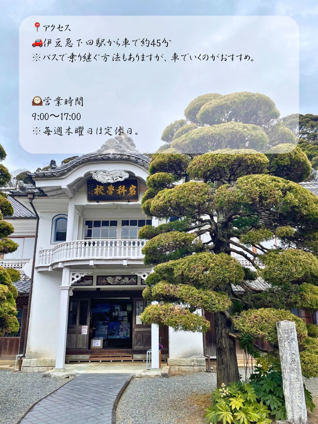 明治時代の小学校にタイムスリップ！？レトロでかわいい岩科学校🏫