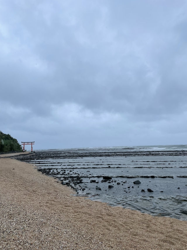 【宮崎】まるでジャングル！美しい神社もある青島