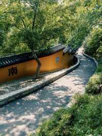 Wuhan's Hidden Gem for City Hikes | Serene Nature Meets History