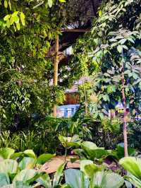 “Urban Jungle Escape: Treetop Thrills at 1 Utama’s Rainforest”