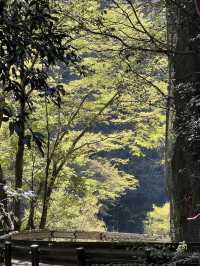 【宮崎】絶景、高千穂峡へ日帰り旅！