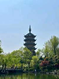 Hongmei Park: A Stroll Through Classical Elegance