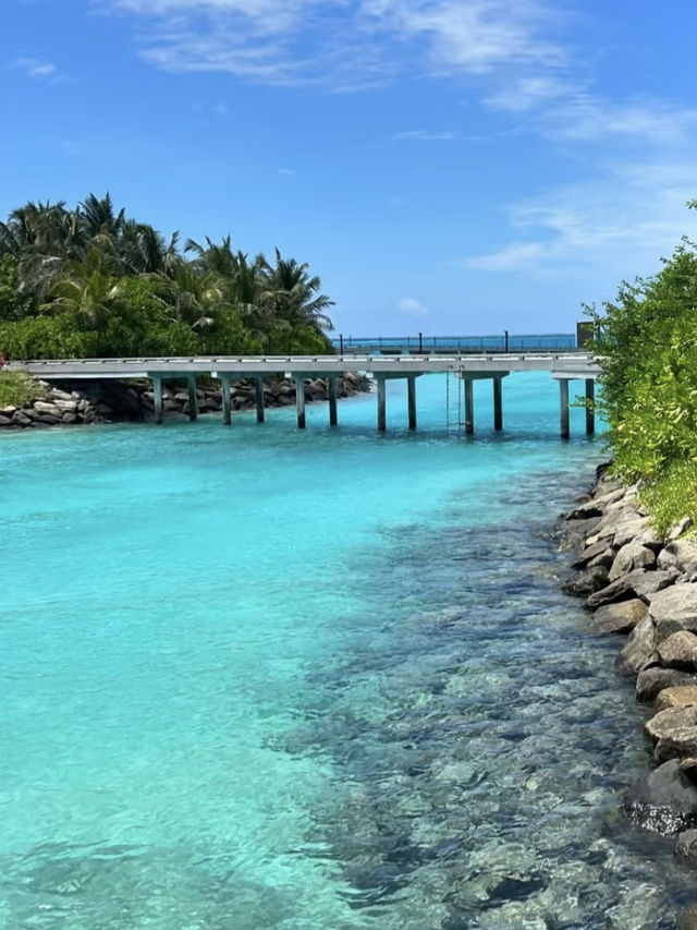 Sculptural Serenity and Oceanfront Indulgence at The Ritz-Carlton Maldives, Fari Islands