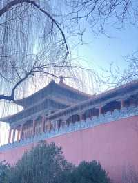 A Cultural Journey Through Beijing