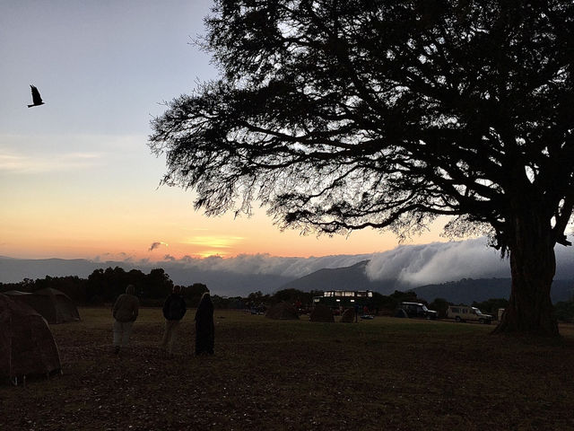 Simba Campsite A｜坐擁壯麗火山口景色的高山營地